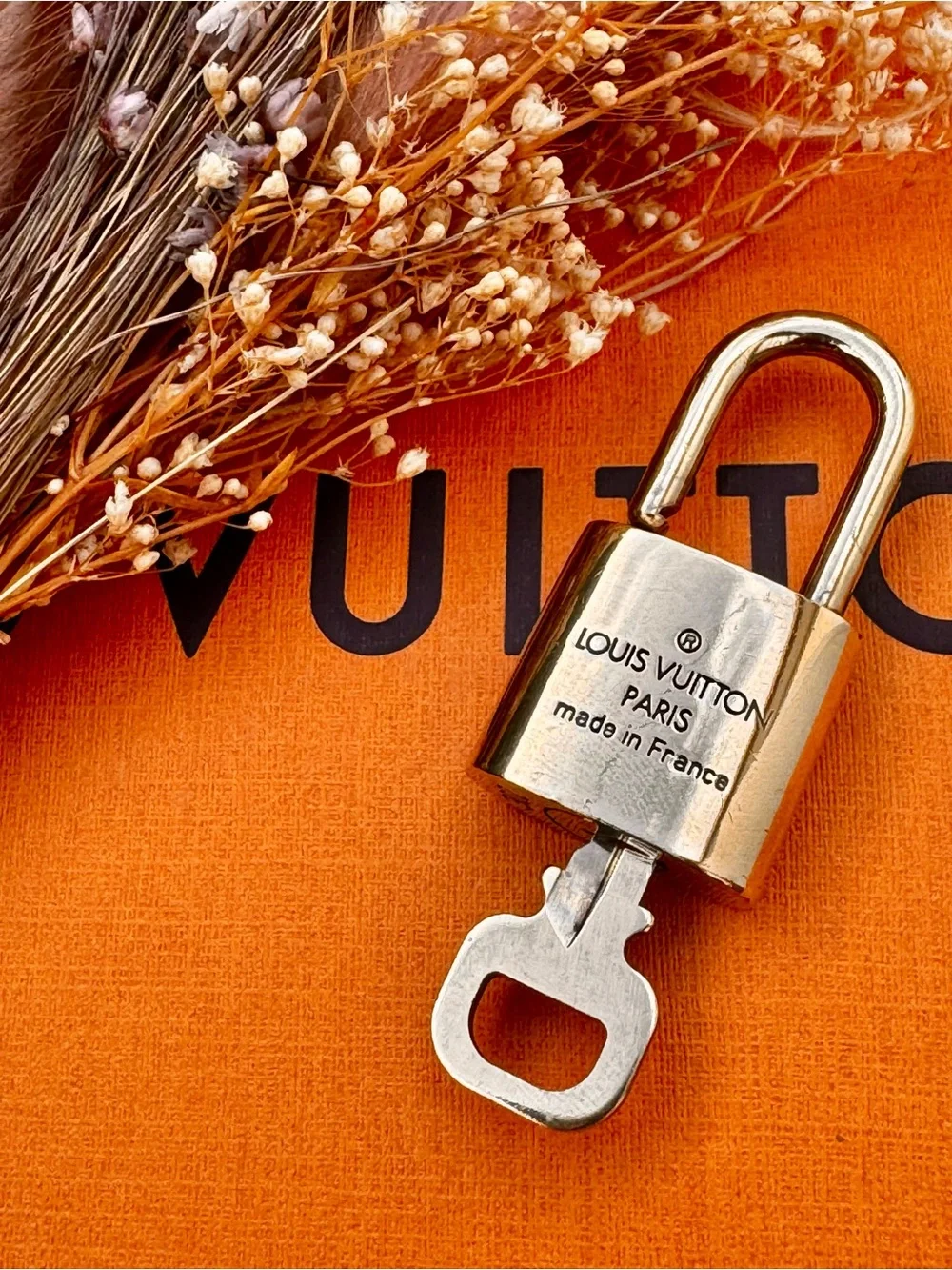 Louis Vuitton louis vuitton
